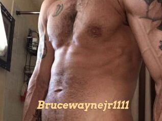 Brucewaynejr1111
