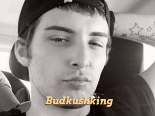 Budkushking