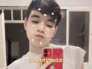 Bunnymaxi