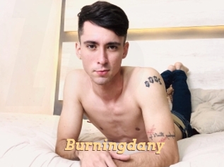 Burningdany