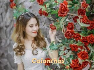 Calanthas