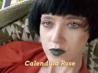 Calendula_Rose