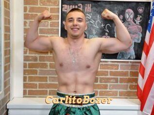CarlitoBoxer