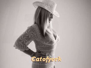 Catofyork