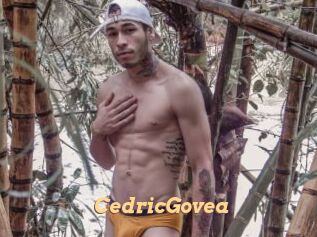 CedricGovea