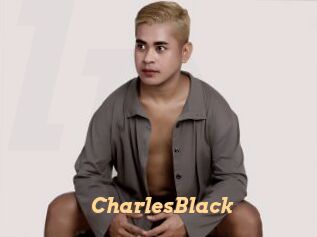 CharlesBlack Live Paradise