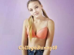 CollegeBunny18