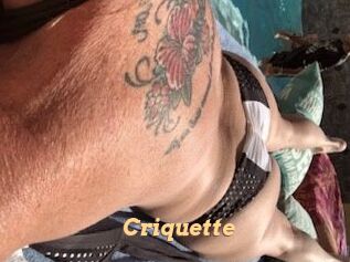 Criquette