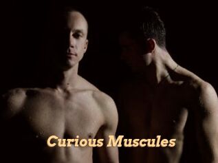 Curious_Muscules