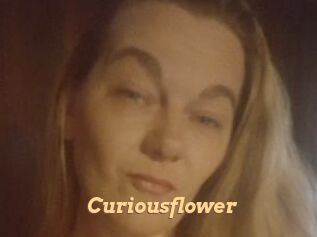 Curiousflower