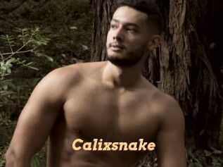 Calixsnake
