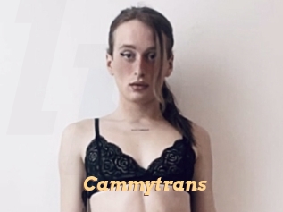 Cammytrans