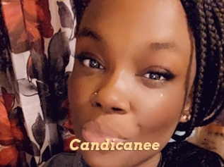Candicanee