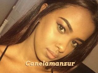 Canelamanzur