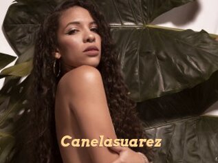 Canelasuarez