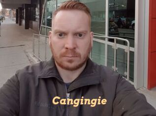 Cangingie