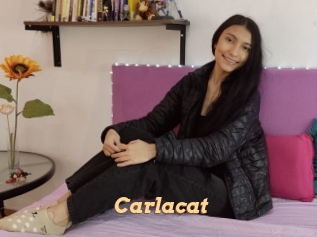 Carlacat