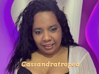 Cassandratropea