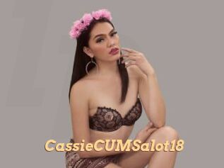 CassieCUMSalot18