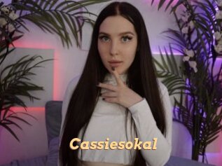 Cassiesokal