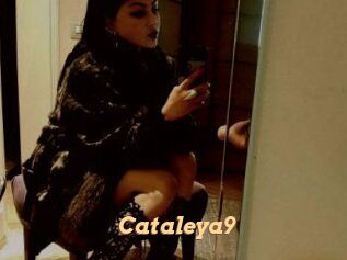Cataleya9