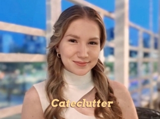 Cateclutter