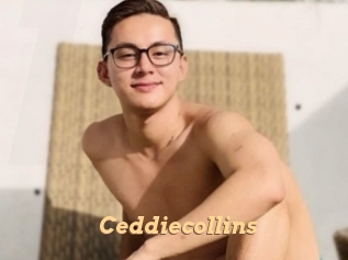 Ceddiecollins