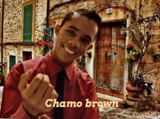 Chamo_brown