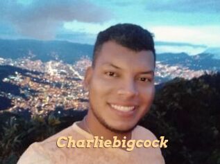 charliebigcock Live Paradise