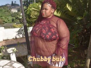 Chubby_bule
