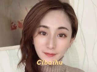 Cibaihu