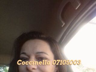 Coccinella-07105003