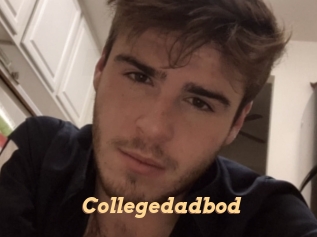 Collegedadbod