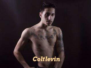Coltlevin
