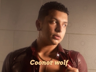 Coonor_wolf
