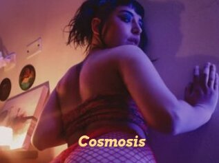 Cosmosis
