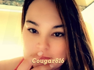 Cougar816