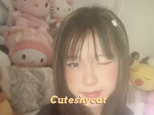 Cuteshycat