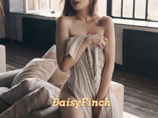 DaisyFinch