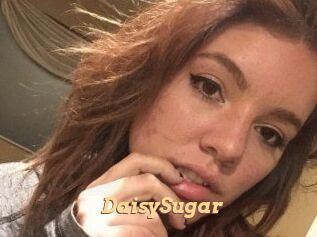 Daisy_Sugar