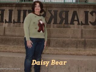 Daisy_Bear