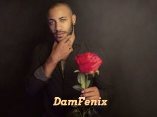 DamFenix