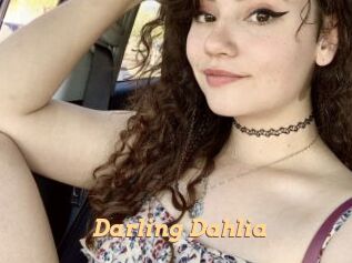 Darling_Dahlia