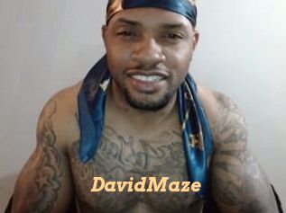 David_Maze
