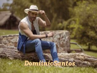 DomiinicSantos Live Paradise