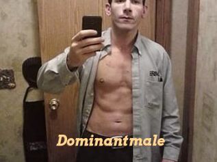 Dominantmale