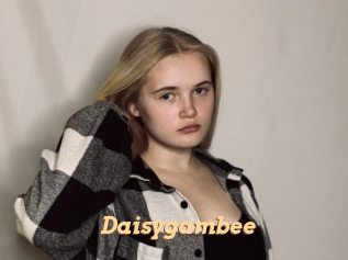 Daisygambee