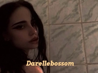 Darellebossom