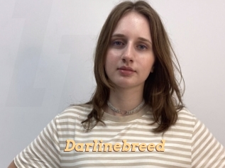 Darlinebreed