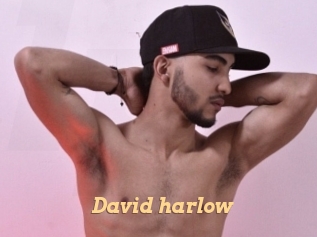 David_harlow